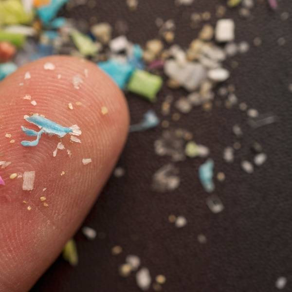 Sustentabilidad en cosmética libre de Microplásticos Sustentabilidad en cosmética libre de Microplásticos