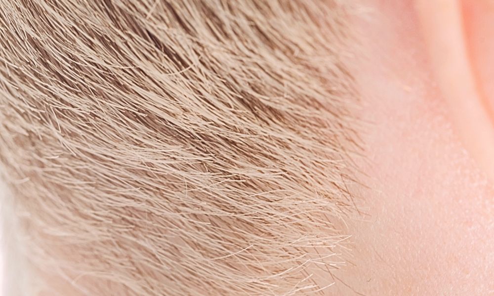 Sistema Biológico del Cabello y Cuero Cabelludo